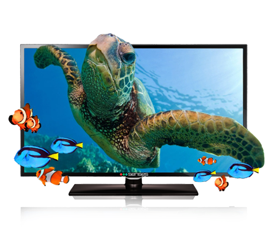 Incredibile Barriera Corallina (l') (556x500), Png Download