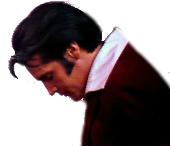 Singer Presents...elvis (550x473), Png Download