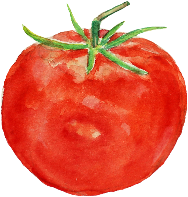 The - Tomato (800x862), Png Download