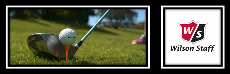 Wskuva121 - Speed Golf (1050x350), Png Download