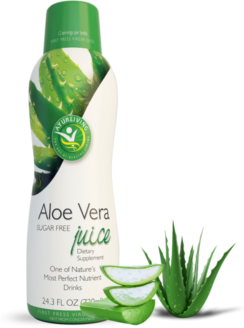 Aloe Vera Juice Is Becoming Popular All Around The - Aloe Vera (487x700), Png Download