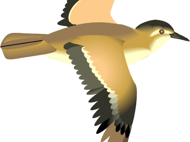 Flying Bird Clipart Bird Png - Flying Bird Animation Png (640x480), Png Download