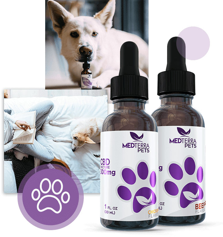Medterra Pets Family Shoot - Tincture Of Cannabis (716x760), Png Download