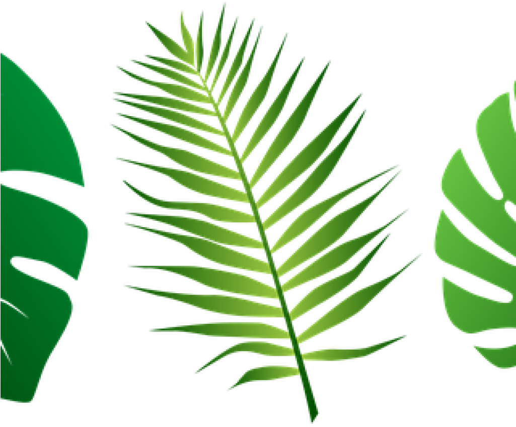 Jungle Leaves Clipart 19 Jungle Leaf Svg Black And - Jungle Leaves Clipart (1024x1024), Png Download