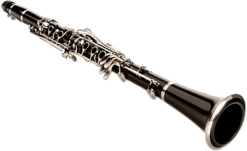 Clarinet - Clarinet Instrument (896x505), Png Download