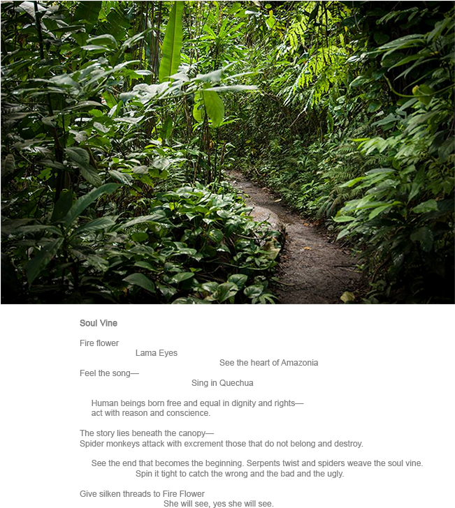 Soul Vine A Green Dream - Old-growth Forest (670x748), Png Download