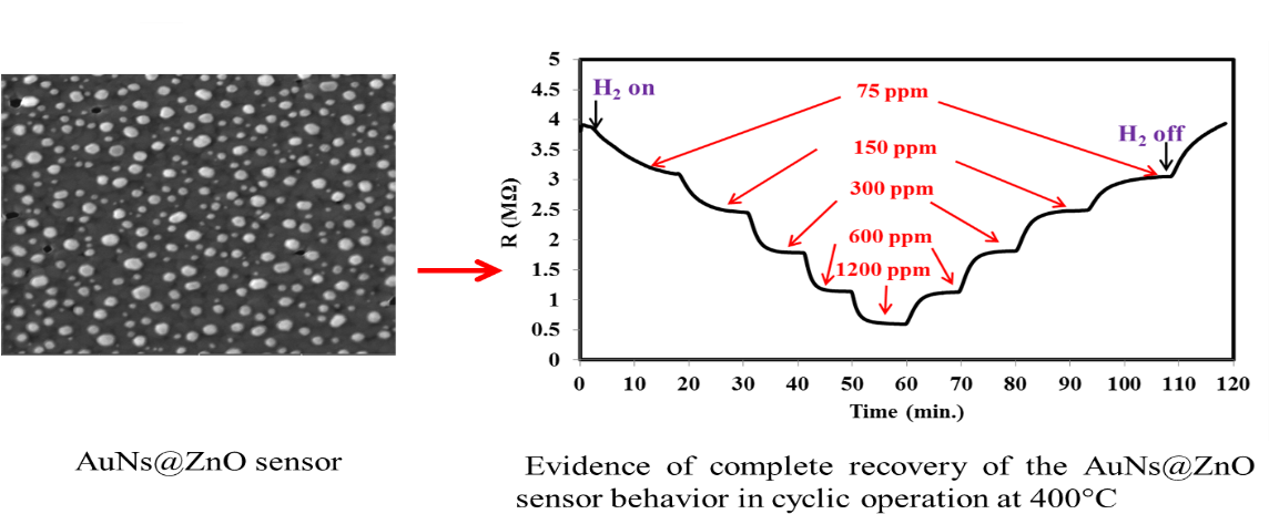 Cent's Nanostructured Chemical Sensors Research Group - Diagram (1149x478), Png Download