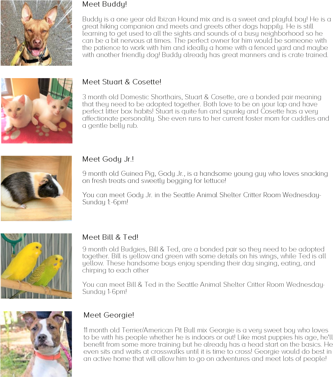 Pets - Dog Licks (1074x1281), Png Download