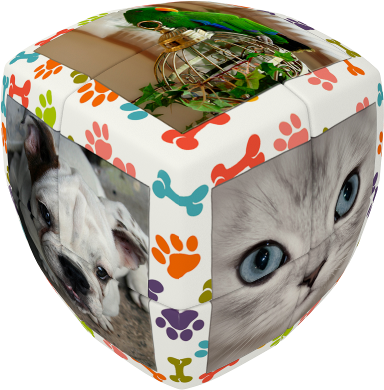 Share This Product - V-cube 2 Essential-pets Cube (multi-colour) (1200x1200), Png Download
