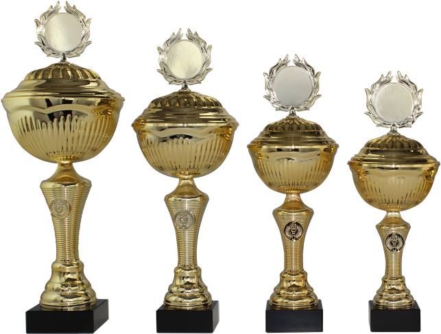 Trophy (900x600), Png Download