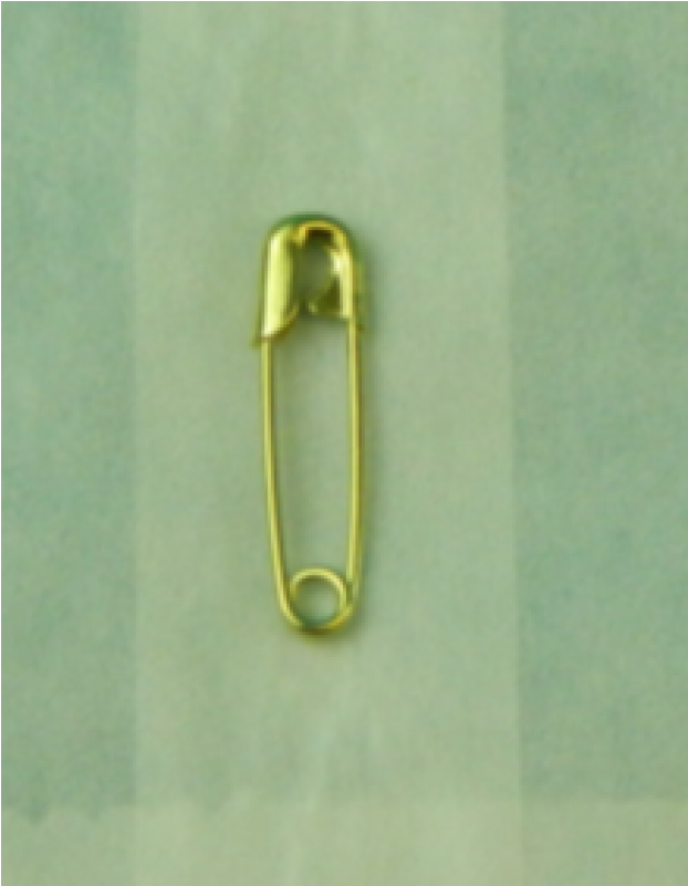 Bioseal Safety Pins, - Brass (800x800), Png Download