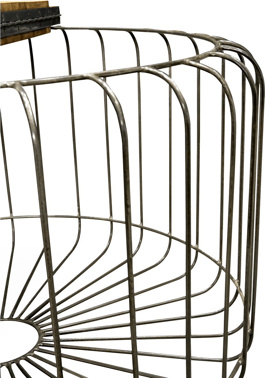 Birdcage - Bird (1200x1333), Png Download