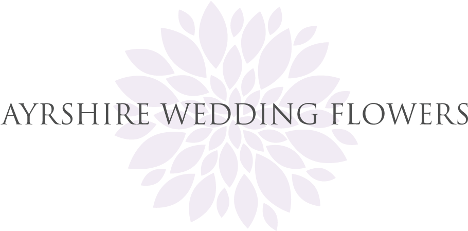 Carpet Foundation (1000x459), Png Download