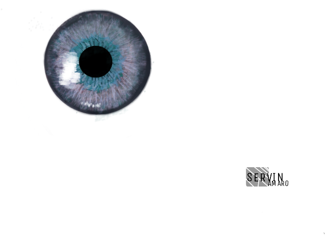 Report Abuse - Circle (1024x768), Png Download