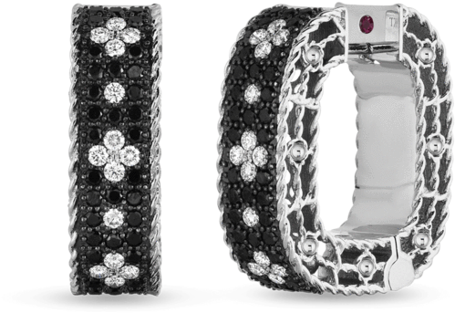 Venetian Princess 18k White Gold Diamond And Black - Earrings (1024x1024), Png Download