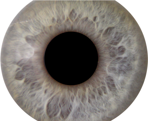 Eyeball Clipart Ojos - Grey Eye Color Png (640x480), Png Download