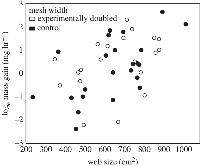 Spider Mass Gain Increases With Web Size - Circle (652x539), Png Download