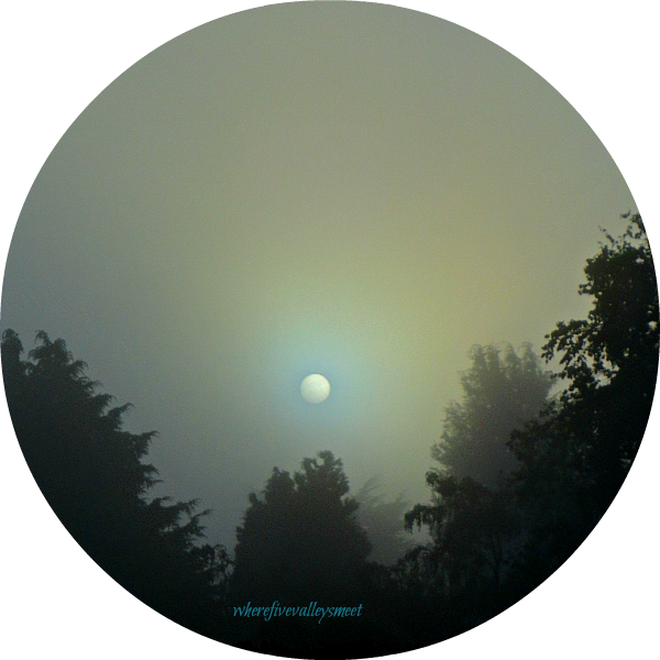 A Spiders' Web - Circle (600x600), Png Download