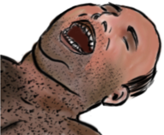 Pai De Família - Dog (600x583), Png Download