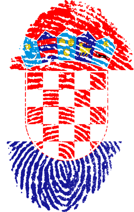 Fingerprint - India Flag Png Hd (455x720), Png Download