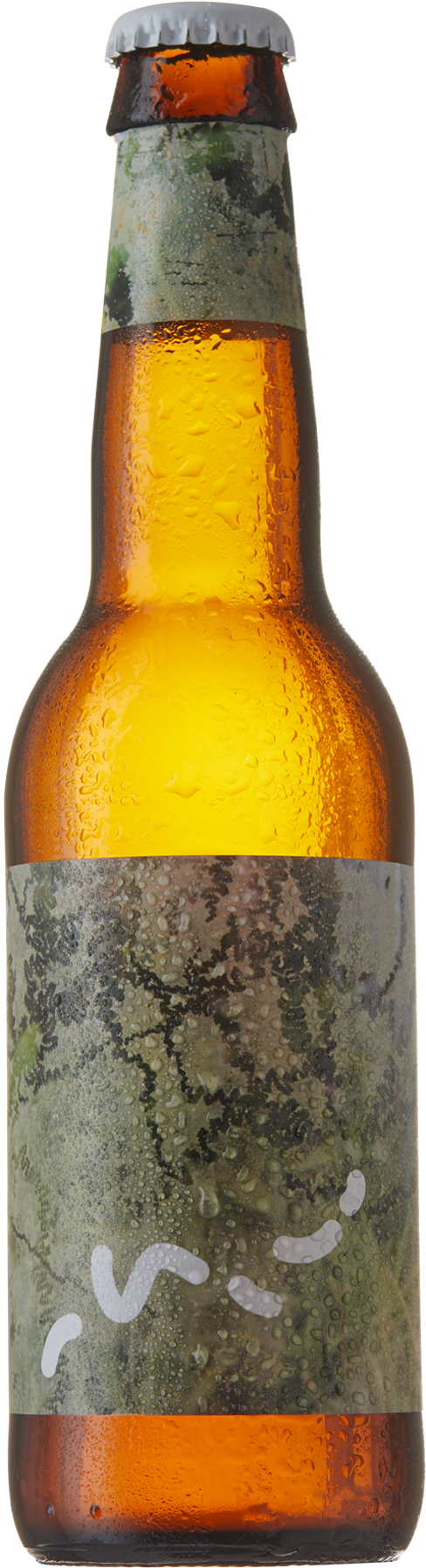 Beer Bottle (2000x2000), Png Download