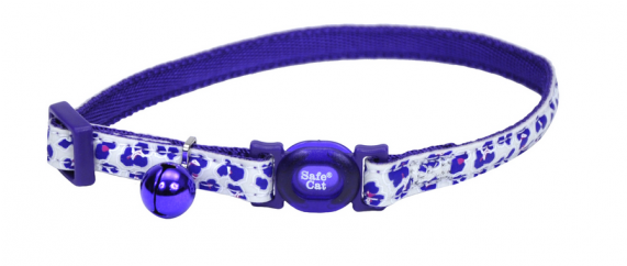 Belt (570x713), Png Download