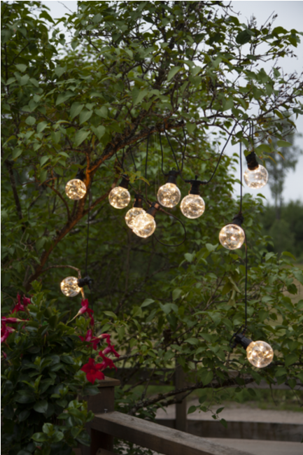 Party Lights Party Lights Party Lights - Arizona Cypress (650x650), Png Download