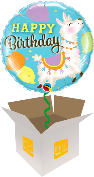 Happy Birthday Llama Party - Birthday Llama (568x568), Png Download