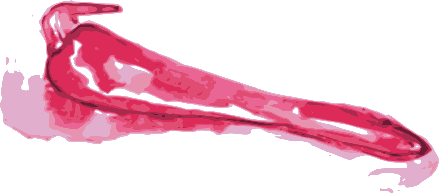 Literary Cookbook Comida Latina - Illustration (1701x750), Png Download