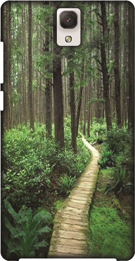 Old-growth Forest (772x1034), Png Download