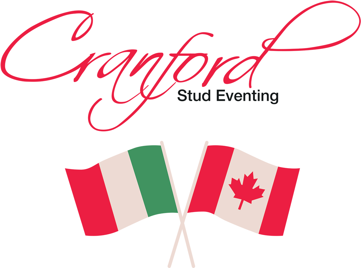 Giovanni Has Represented Italy At Two European Championships - Canada Flag (1181x879), Png Download