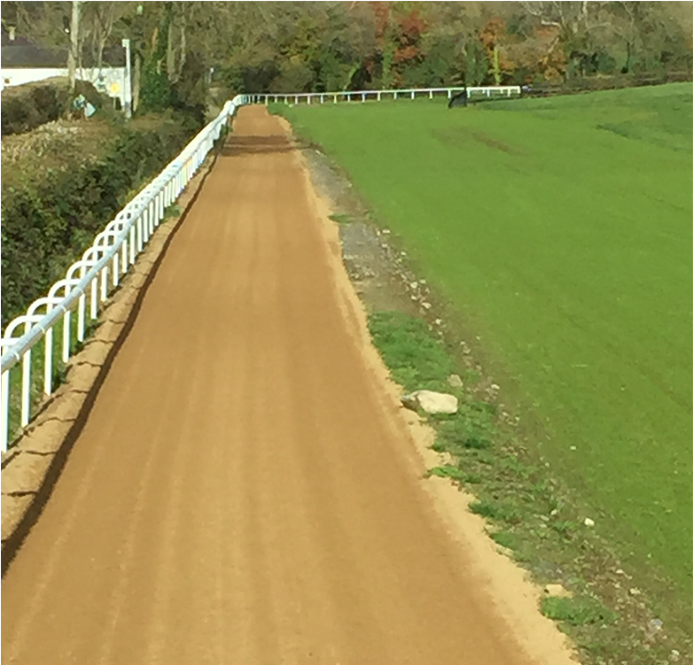 Gallops - Grass (1000x750), Png Download