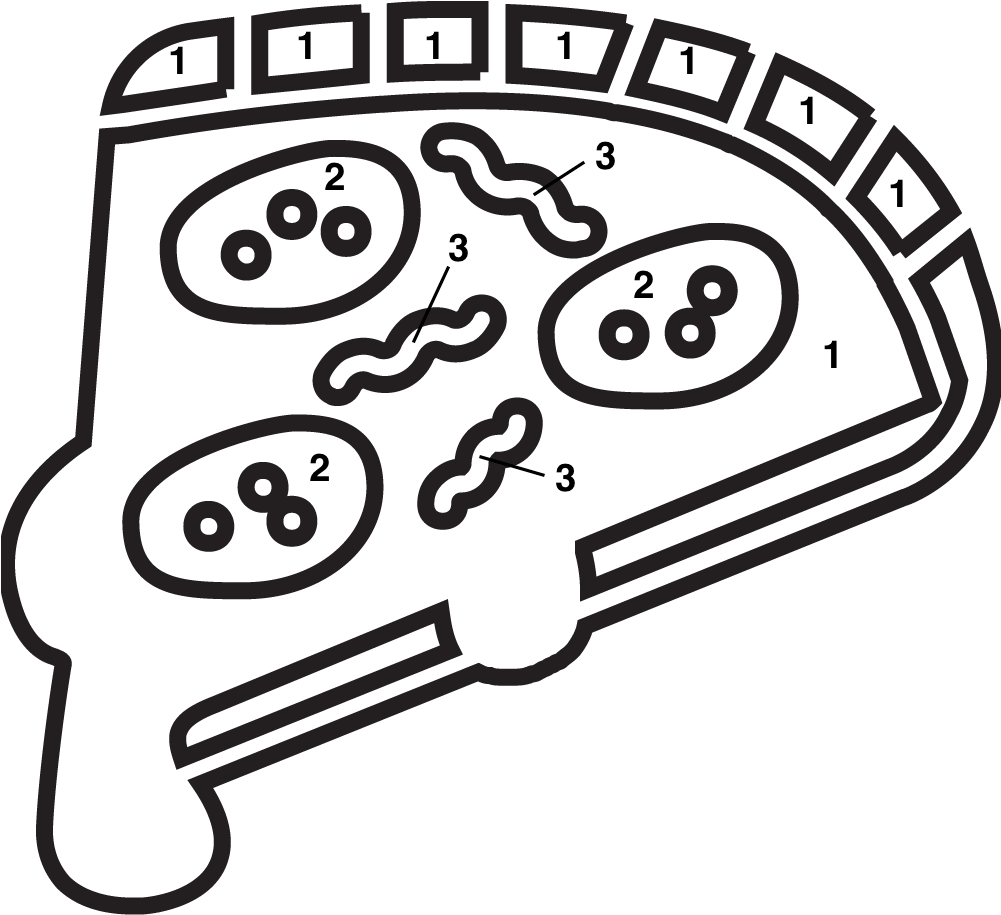 Art Is Fun (1000x1169), Png Download