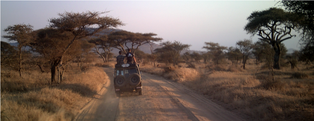 How To Travel Sustainably - Safari (1024x768), Png Download