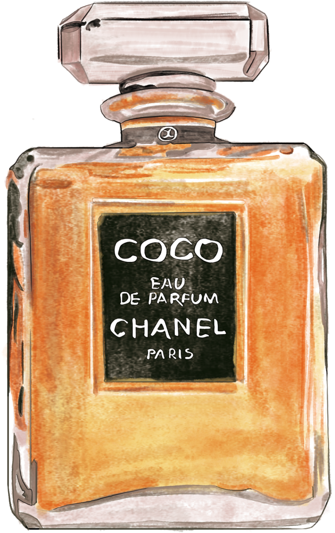 Ck One Glass Bottle Perfume Chanel - Perfume (800x1131), Png Download