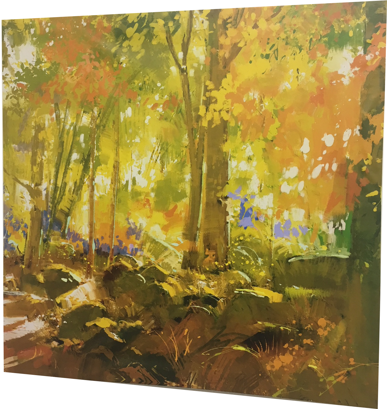 Bring Forest 50cm X 50cm Canvas Wall Art - Collins Engaging English 7 (1502x1502), Png Download