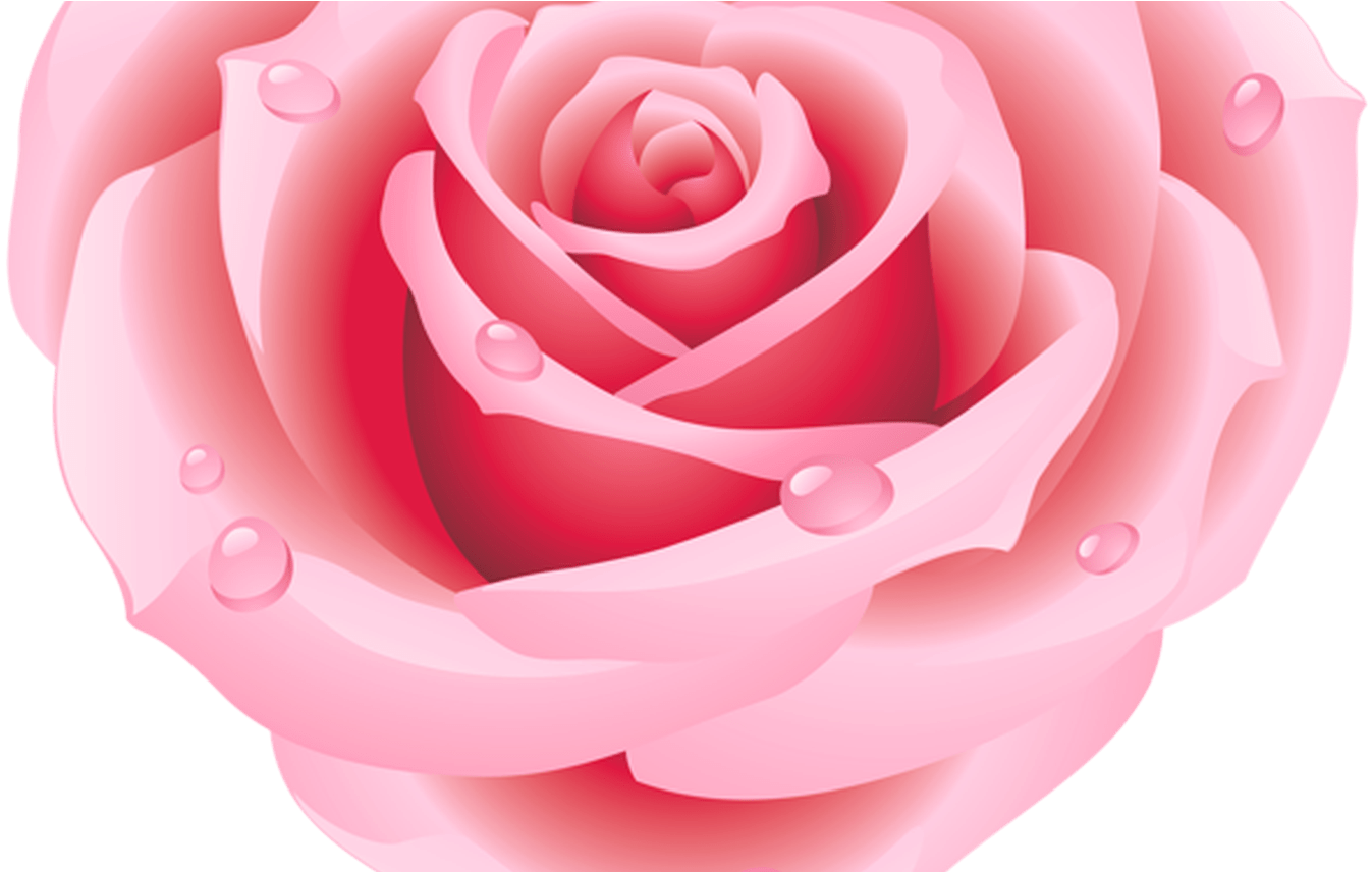 Large Pink Rose Heart Clipart Hearts Pinterest Pink - Heart Pink Flower Png (1347x856), Png Download