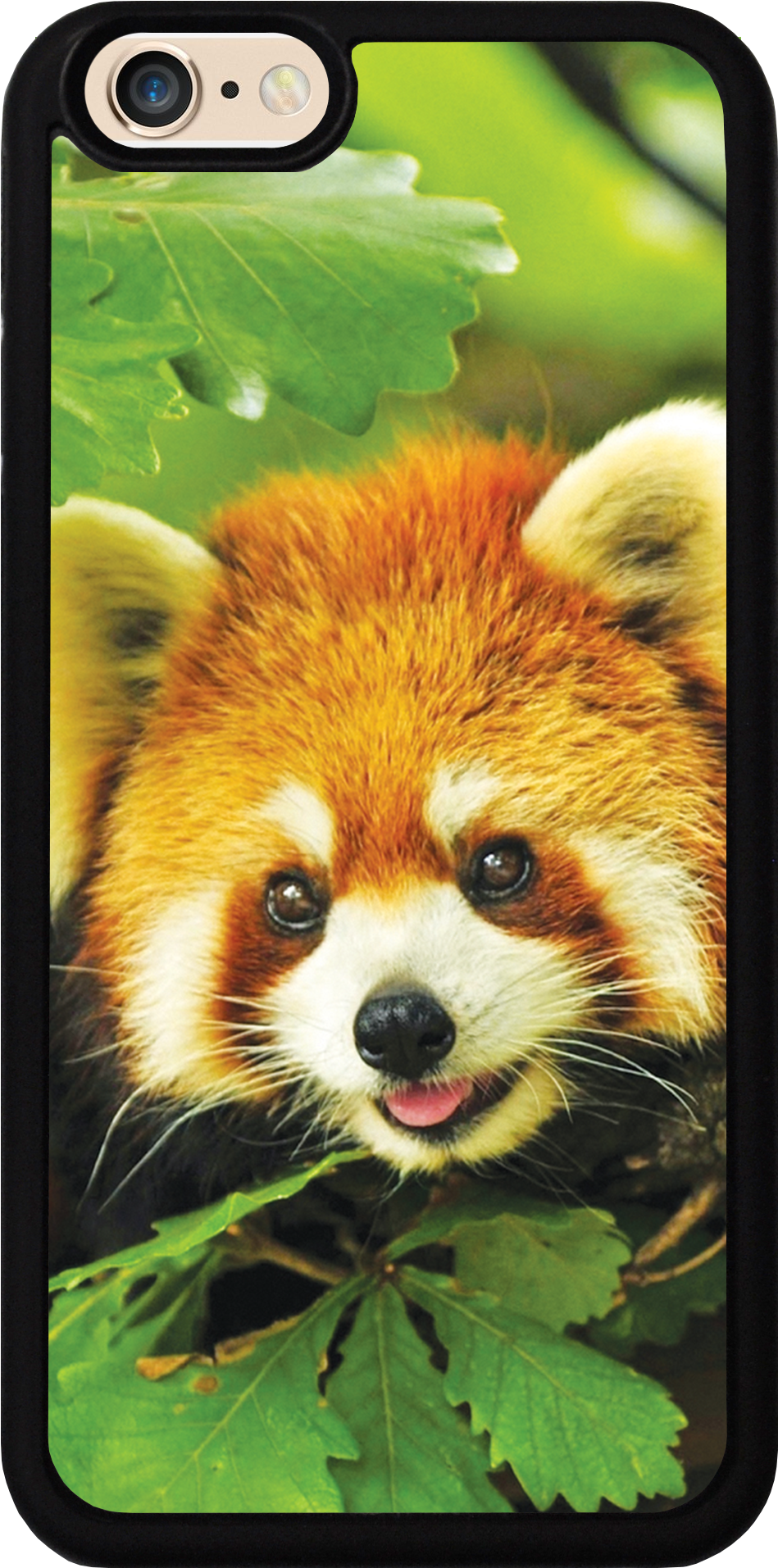 Red Panda Cute For Ipad - Cute Animals In Asia (1141x2028), Png Download