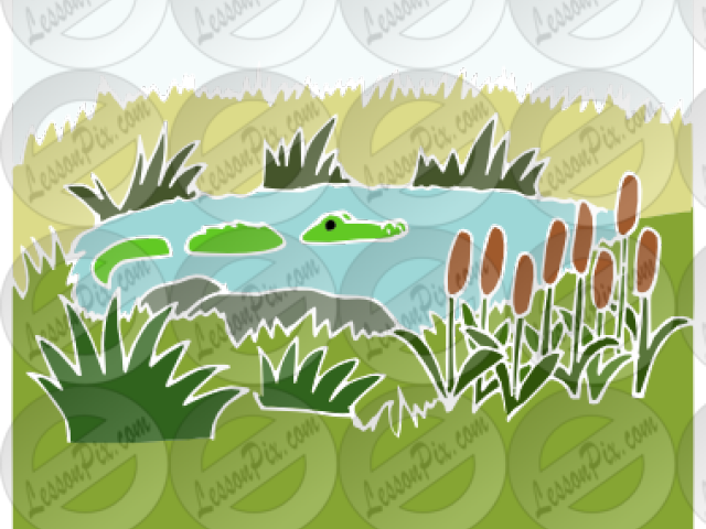 Swamp Clipart Transparent - Illustration (640x480), Png Download
