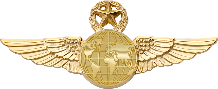 6425sw Star & Wreath Wing With Generic Emblem - Emblem (908x372), Png Download