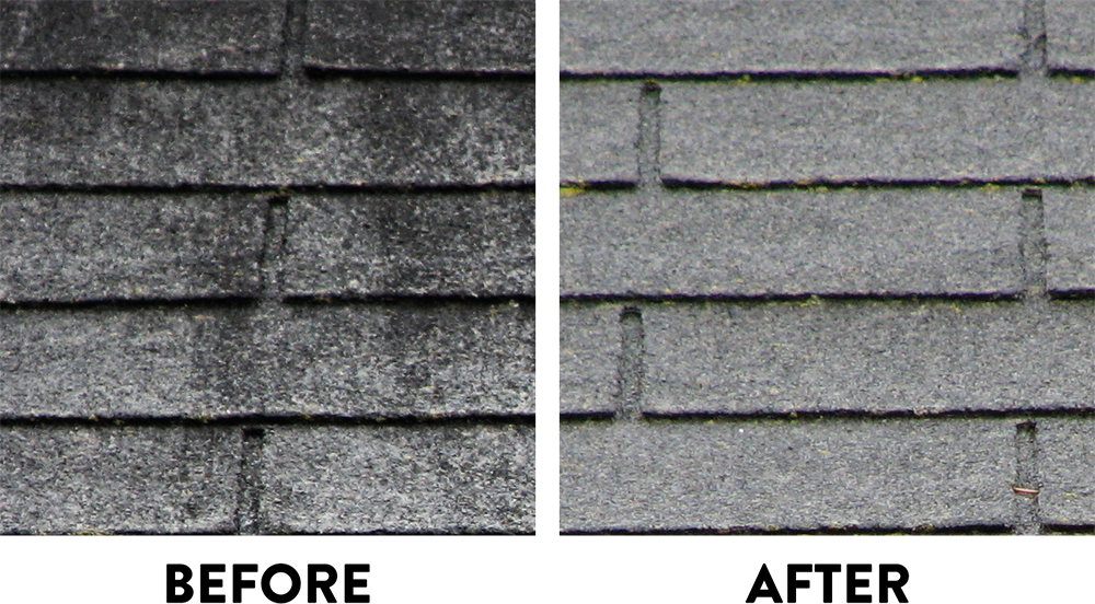 We Are Roof Poof - Roof (1000x552), Png Download