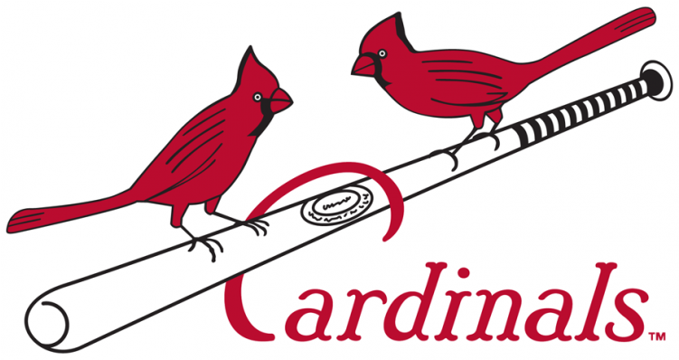 Louis Cardinals Iron On Stickers And Peel-off Decals - Northern Cardinal (750x930), Png Download