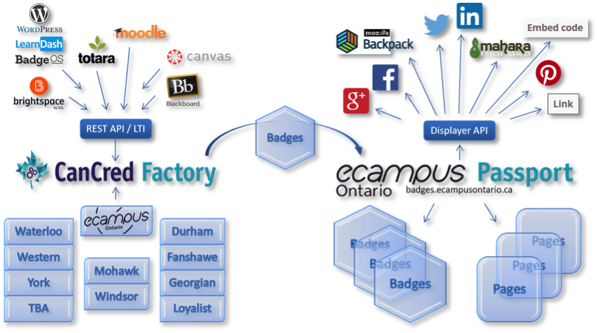 The Overall Goal Of These Action Based Pilot Explorations - Social Media Icons (863x481), Png Download