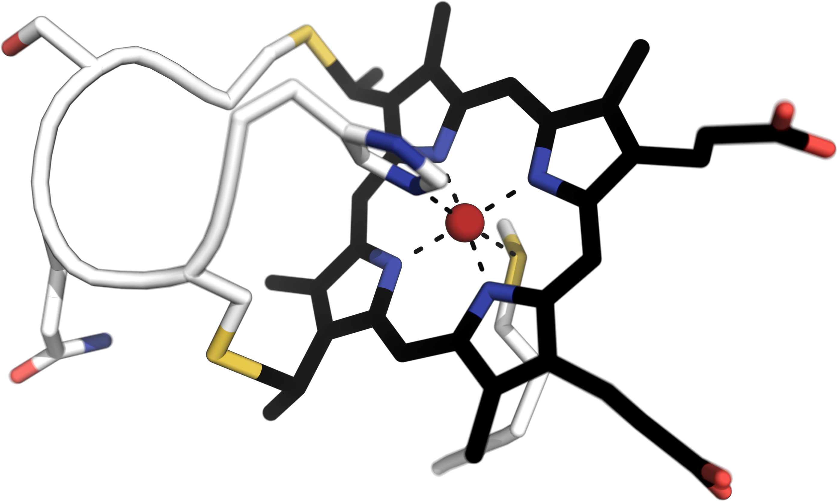 Insect (1200x684), Png Download