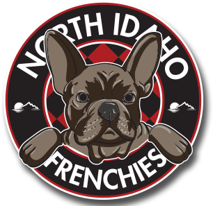 French Bulldog (1100x300), Png Download