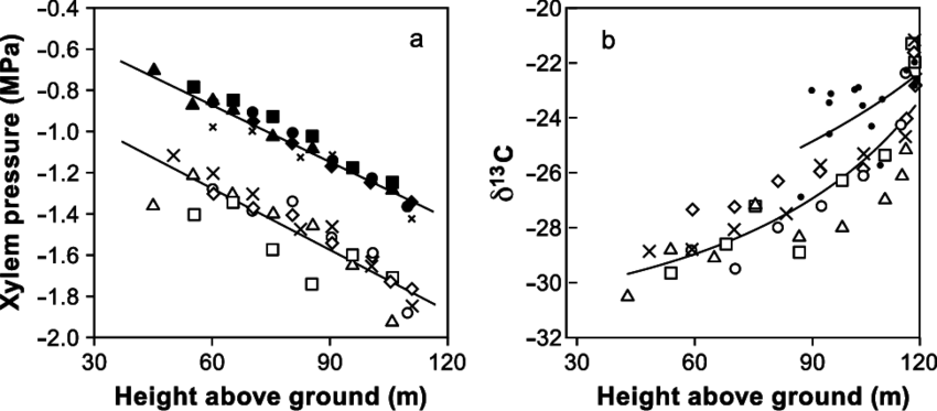 2 A Xylem Pressure Of Small Branches Measured At Predawn - Diagram (850x373), Png Download