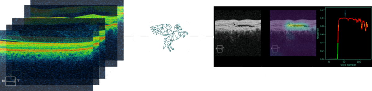 Visulytix - Pegasus Dr - Pegasus Visulytix (1200x295), Png Download