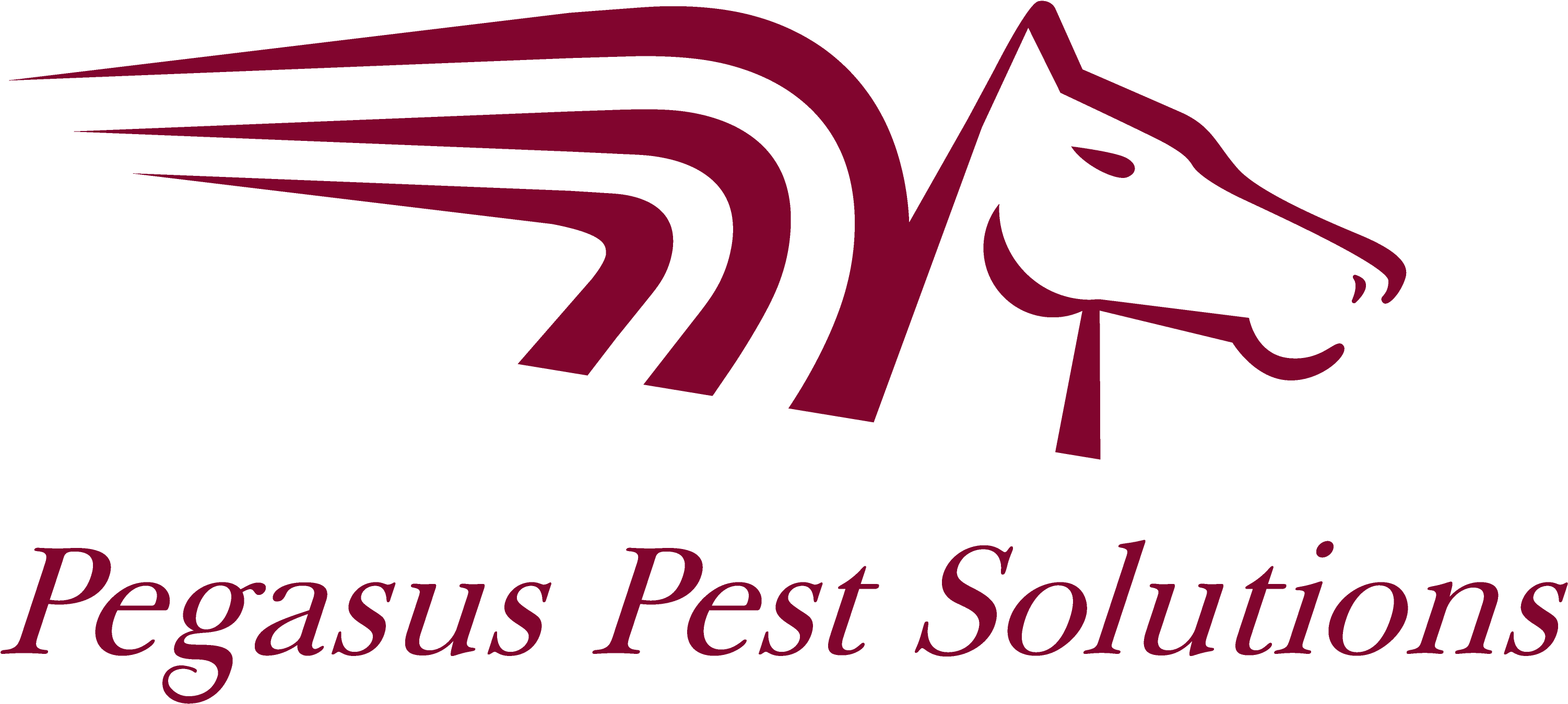 Horse (3368x1608), Png Download