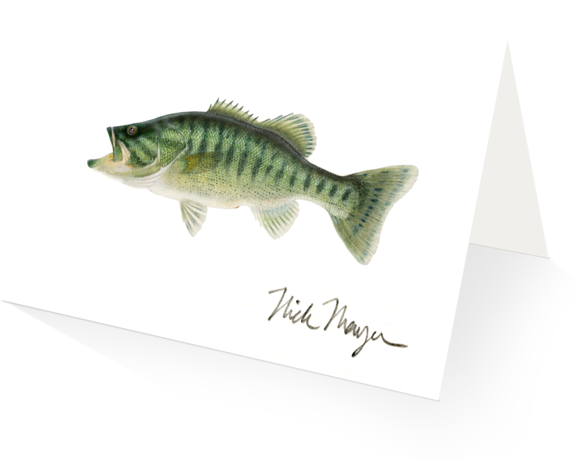 Sign Up And Get 10% Off - Perch (1024x825), Png Download