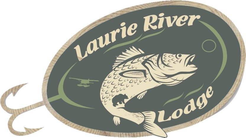 About - Trout (971x467), Png Download